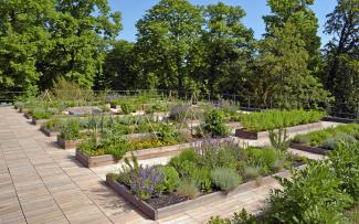 Produce could not be sourced more locally given that the gourmet kitchen uses the harvest directly from the rooftop. © Ecovegetal Vegetable and herb plots on a rooftop with wooden decking
